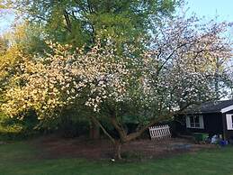 Rose House B&B
