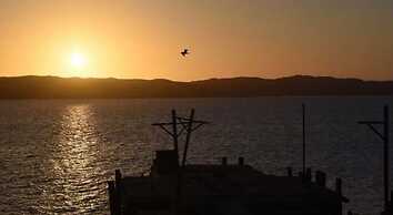 Island Cottage Guesthouse