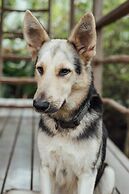 Selvista Guesthouses