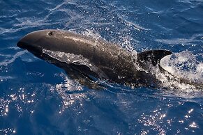 Raffles Maldives Meradhoo Resort