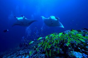 Raffles Maldives Meradhoo Resort