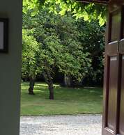 Hope Orchard