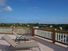 Savannah Sand Dollar
