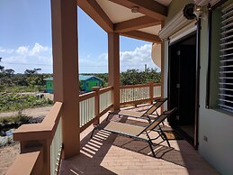 Savannah Sand Dollar