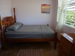 Savannah Sand Dollar