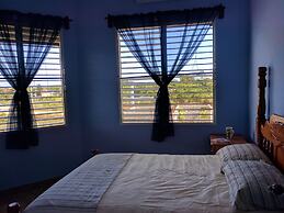 Savannah Sand Dollar