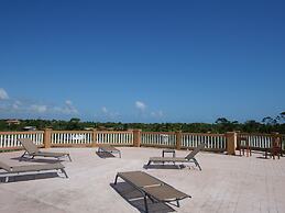 Savannah Sand Dollar