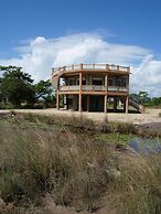 Savannah Sand Dollar