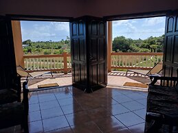 Savannah Sand Dollar