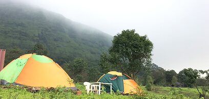 Canary Forest Camping