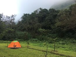 Canary Forest Camping