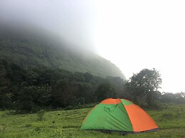 Canary Forest Camping
