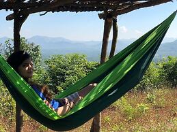 Canary Forest Camping