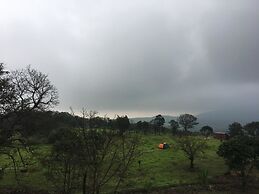 Canary Forest Camping