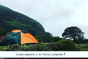 Canary Forest Camping