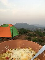 Canary Forest Camping