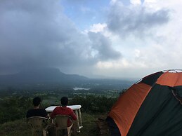 Canary Forest Camping