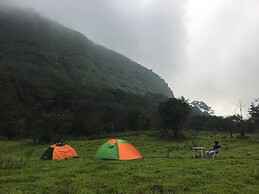 Canary Forest Camping