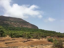 Canary Forest Camping