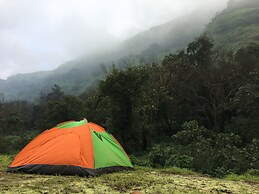 Canary Forest Camping