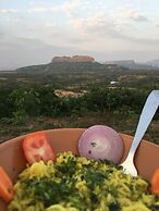 Canary Forest Camping