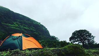 Canary Forest Camping