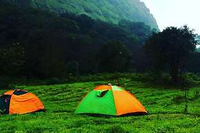 Canary Forest Camping