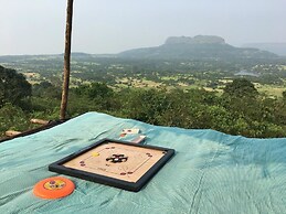 Canary Forest Camping