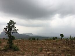 Canary Forest Camping