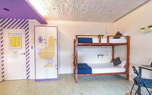 Locomo OG - Stay Work Eat