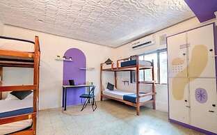 Locomo OG - Stay Work Eat