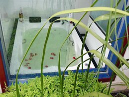 Pousada Pouso da Chica