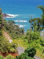Comfort Cottages
