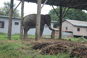 Nature Safari By Hotel The Canopy