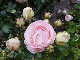 Les Chambres du Keriolet