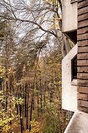 FOREST HOTEL