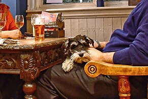 The Bridge in Barnes