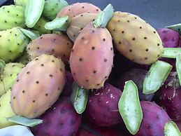 Tenuta Bartoli Maison de charme