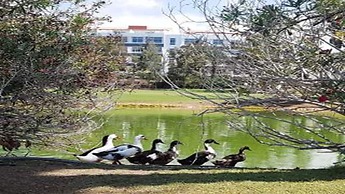 Gara Suites Golf & SPA