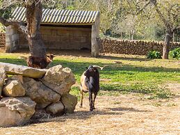 Finca Ses Cases Noves