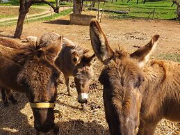 Finca Ses Cases Noves