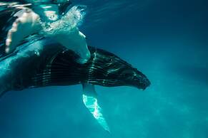 Ambergris Cay Private Island – All Inclusive – PLS Island Hopper Fligh