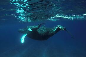 Ambergris Cay Private Island - All-Inclusive
