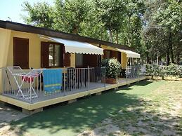 Camping Viareggio