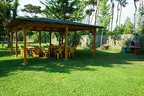 Camping Viareggio