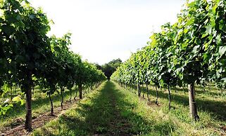 Pianderna Agriwellness