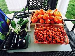 Mum's Bed & Breakfast