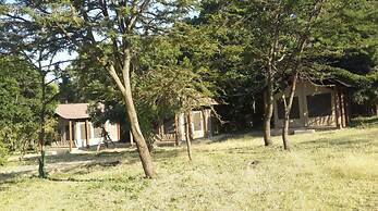 Mara Springs Safari Camp