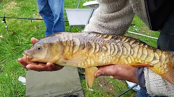 Thornbury Holiday Park