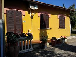 Il Gelsomino
